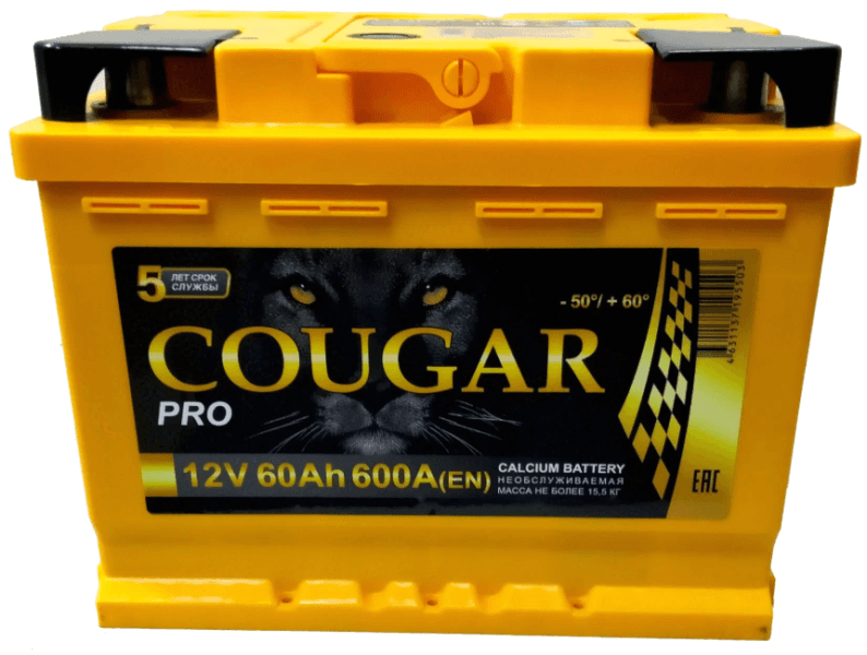 COUGAR PRO 60Ач R+ EN600 242x175x190 B13