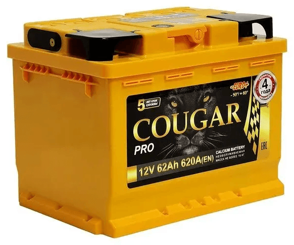 COUGAR PRO 62Ач R+ EN620 242x175x190 B13